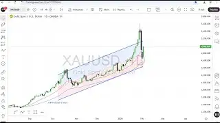 Gold Daily Chart Analysis for February 4, 2026