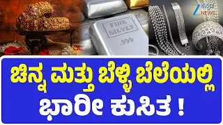 Gold Silver Price Crash | Explainer | ಜರ್ಮನ್ ಬೆಳ್ಳಿ ಮೋಸದಿಂದ ದೂರವಿರಿ