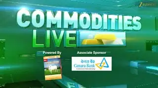 Gold & Silver Recovery Outlook: Will the Rally Sustain After Recent Correction? | Commodity LIVE