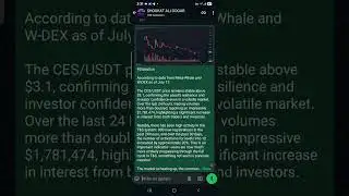 Good news for Metawhale.com family