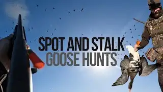 Good News from the Rice Fields