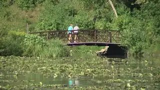 Good Question: How Should We Be Assessing COVID Risks