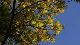 Good Question: Why Do We Feel More Tired When Seasons Change?