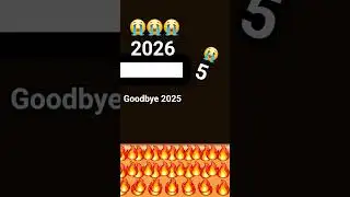goodbye 2025