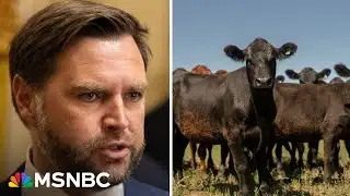 GOP senators confront VP Vance 