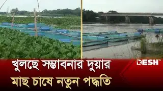 খুলছে নতুন সম্ভাবনার দুয়ার, মাছ চাষে নতুন পদ্ধতি | Gopalganj News | Desh TV News