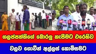 ගලප්පත්තිගේ බොරලු කැපීමට එරෙහිව වලව ගොවීන් අල්ලස් කොමිසමට | Gossip LK News 