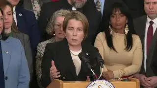 Gov. Healey proposes limits to ICE arrests in Massachusetts