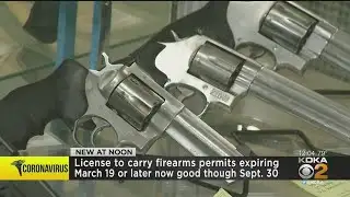 Gov. Wolf Again Extends License To Carry Firearm Permits