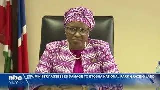 Government assessing extent of Etosha wildfire damage - nbc