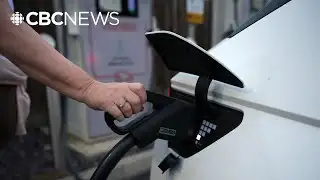 Government expected to scrap EV mandate for new fuel efficiency system: source