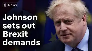 Government reveals Brexit negotiation demands