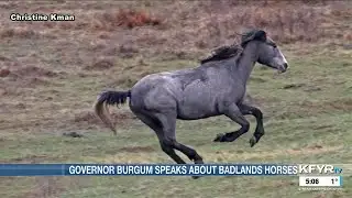 Governor Burgum speaks about the TRNP horses