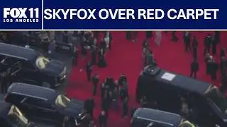 Grammys 2026 Red Carpet