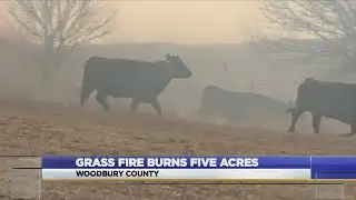 Grass Fire Burns Five Acres