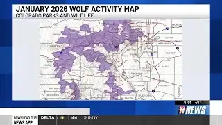 Gray wolf activity detected in Mesa County