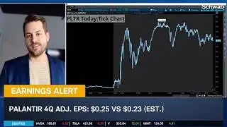 "Great" Earnings Add Muscle to PLTR, Mind Software Industry Volatility