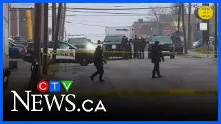 Grenade found in Cape Breton business