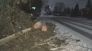 Gresham residents deal with ice, fallen trees as winter storm persists