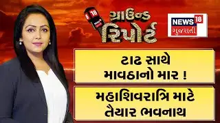 Ground Report | ટાઢ સાથે માવઠાનો માર ! | ડાલામથ્થાનો ડર | સ્ટંટબાજોને સબક શીખવાડો | Prime Show