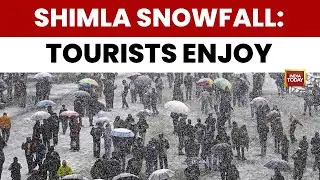Ground Report: Shimla transforms into a white wonderland, tourists enjoy fresh snowfall