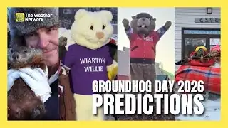 Groundhog Day 2026: All Predictions Across Canada
