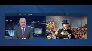 Groundhog Day becomes latest holiday affected by pandemic