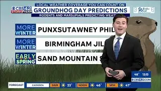 Groundhog Day Forecast for Central Alabama