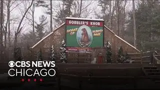 Groundhog Day preparations underway in Pennsylvania