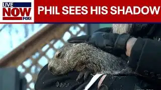 Groundhog Day: Punxsutawney Phil sees his shadow