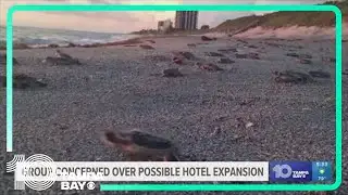 Group concerned Tradewinds Islands Resort expansion would impact coastal wildlife