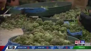 Group submits signatures for Arkansas recreational marijuana amendment