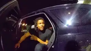 Group Terrorizes McDonald