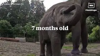 Growing up with Tula-Tu