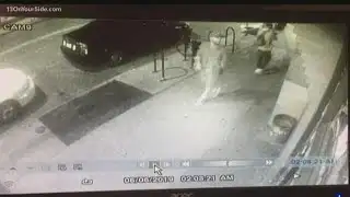 GRPD asking for help to identify vandalism suspects