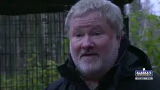 Grubby, opossum who traveled from Washington to Alaska, dies