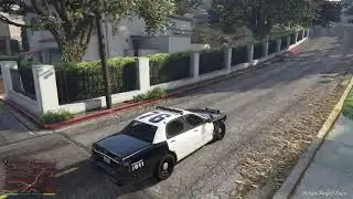 GTA V Michael help Amanda escape from police
