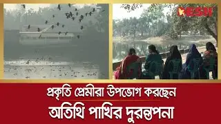 অতিথি পাখির কলকাকলিতে মুখর ময়দানদিঘী পুকুর | Guest Birds | PAnchagar Birds | Desh TV News