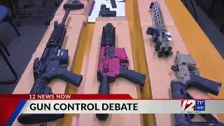 Gun Control Debate