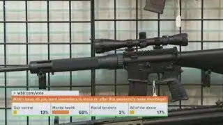 Gun control debate after mass shootings