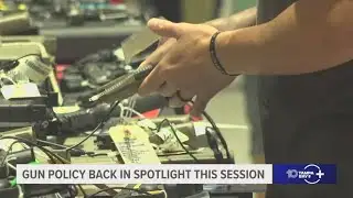 Gun policy back in spotlight this legislative session  in Florida