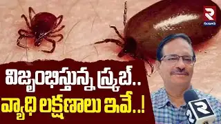 విజృంభిస్తున్న స్క్రబ్ వ్యాధి లక్షణాలు ఇవే..!| Guntur GGM Superintendent About Scrub typhus Symptoms