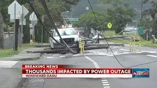 Gusty winds wreak havoc in Windward Oahu