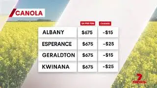 GWN7 market update Friday 19 December 2025