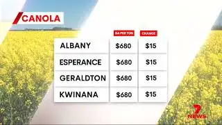 GWN7 market update Friday 9 January 2026