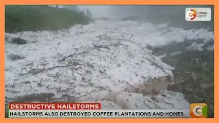Hailstorms destroy tea plantations in Kericho county