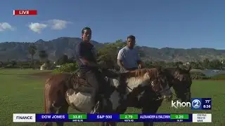 Halloween fun at North Shore Stables