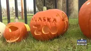 Halloween fun kicks off: Boo at the Zoo begins set-up