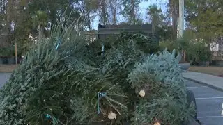 Hampstead business owner gives away free Christmas trees