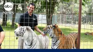 Handler killed in tiger attack during demonstration at Oklahoma preserve